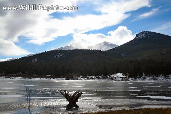 Click Picture to send as an  E-PostCard 55k 550x367